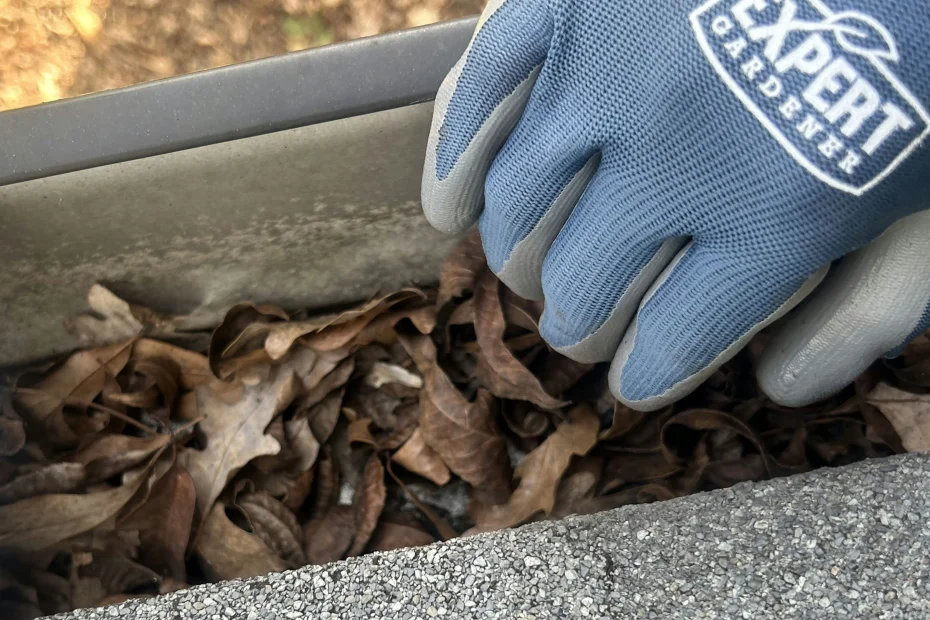 Gutter Cleaning Princeton NJ