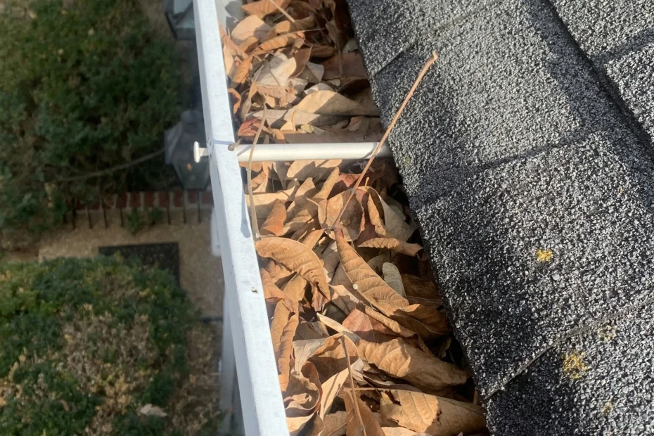 Gutter Cleaning Princeton NJ